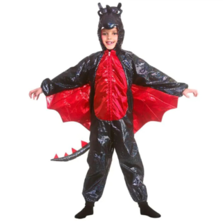 Boys Deluxe Dragon Fancy Dress Costume - (Options) (1pc)