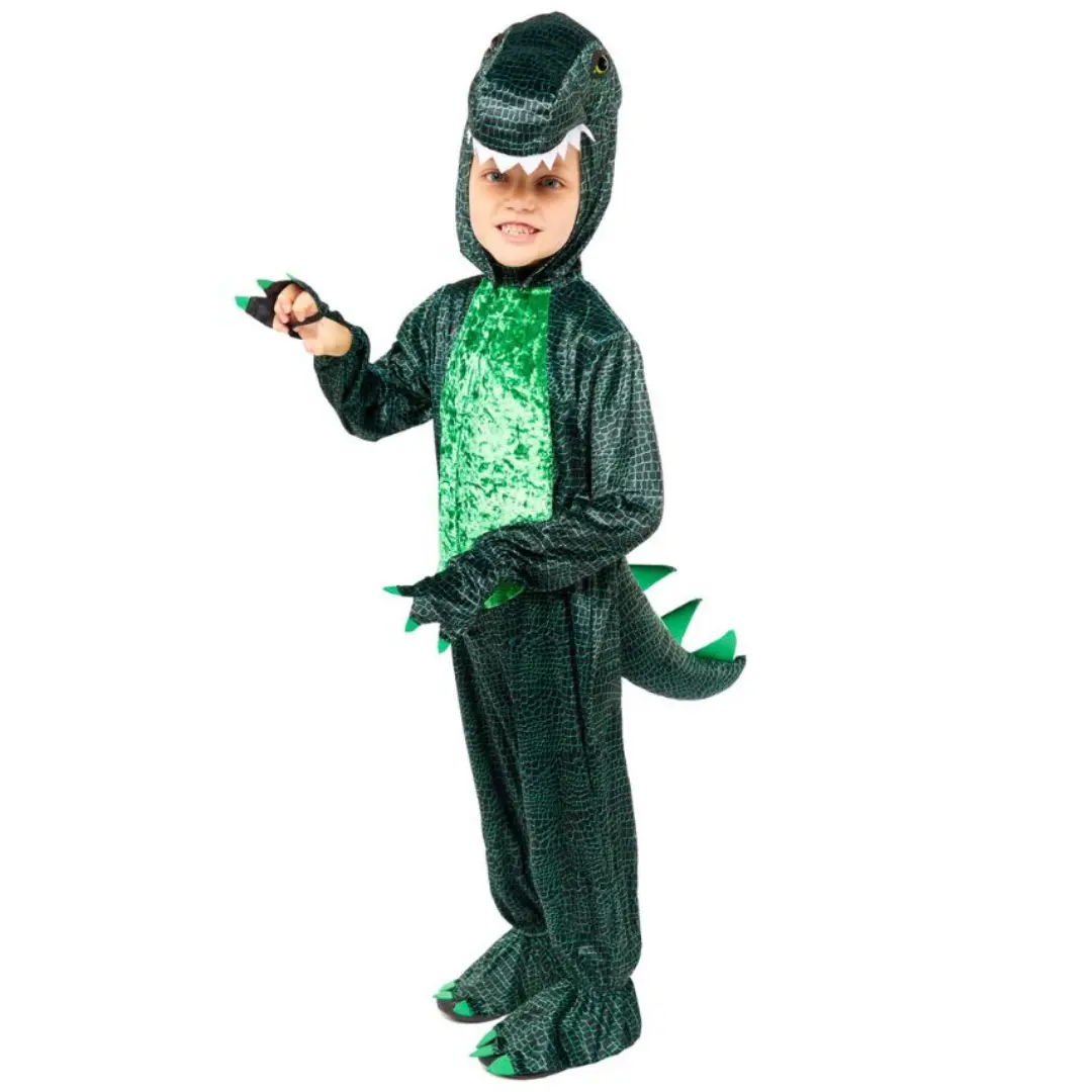 Dinosaur Fancy Dress Costume - 9907209